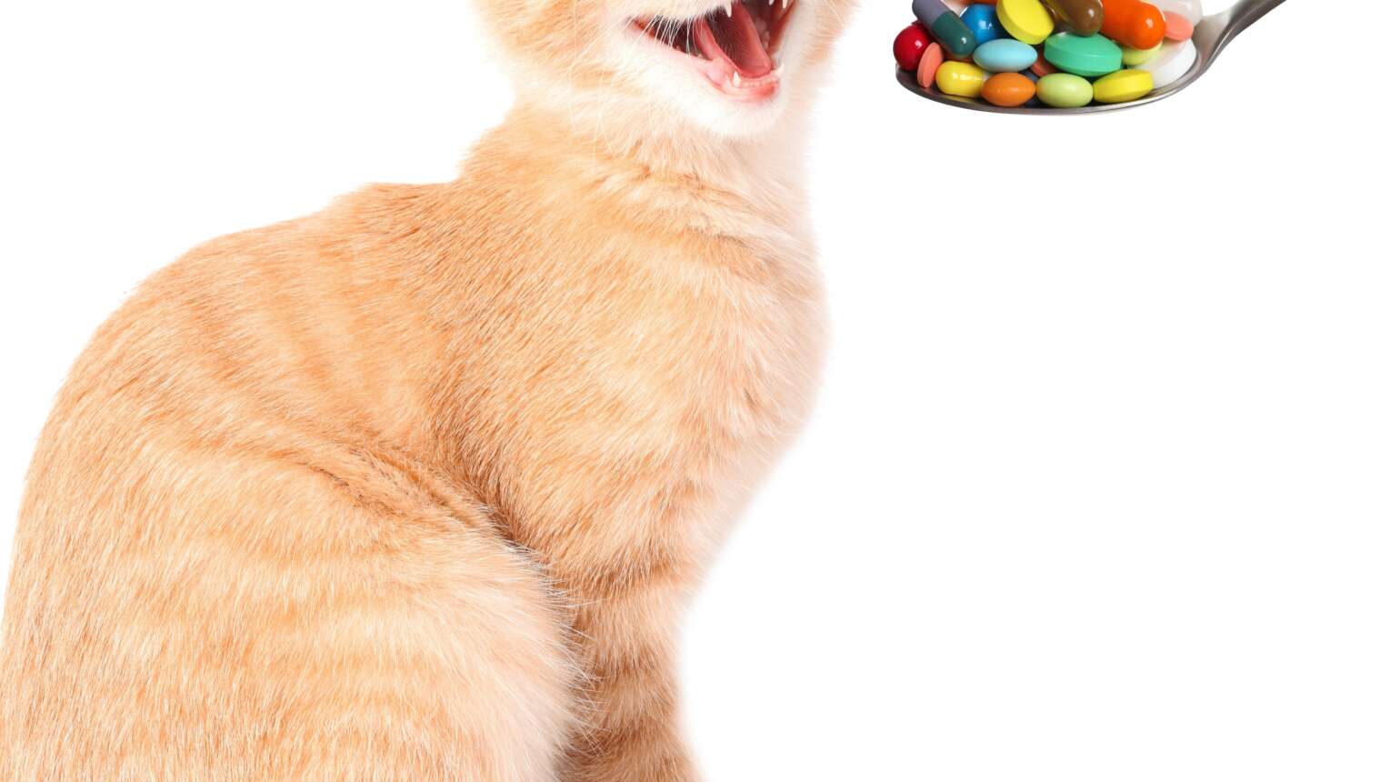 Safe Handling of Medications at Home