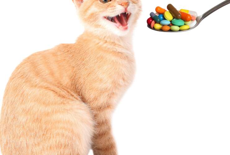 Safe Handling of Medications at Home