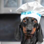 I’m thinking about trying a homemade diet for my dog…
