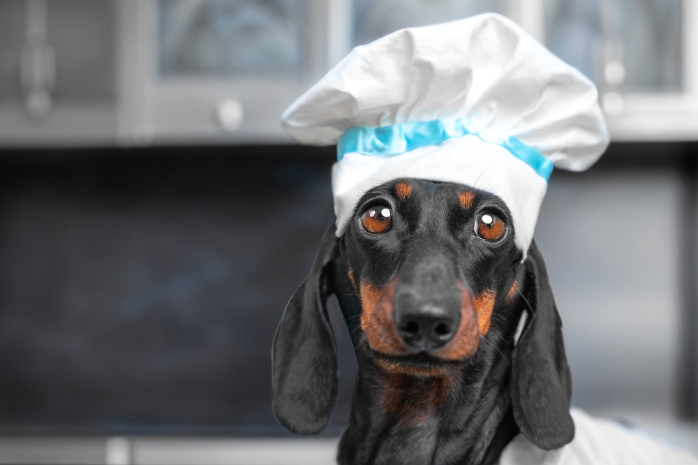 I’m thinking about trying a homemade diet for my dog…
