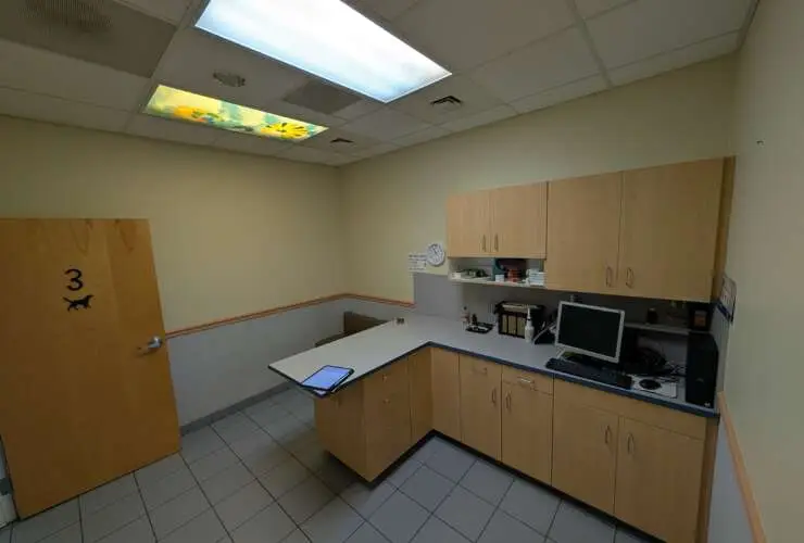 Examination/Consultation Rooms