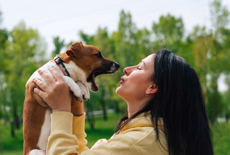 Does your pet have kissable breath?