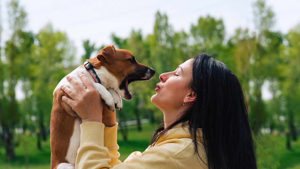 Does your pet have kissable breath?
