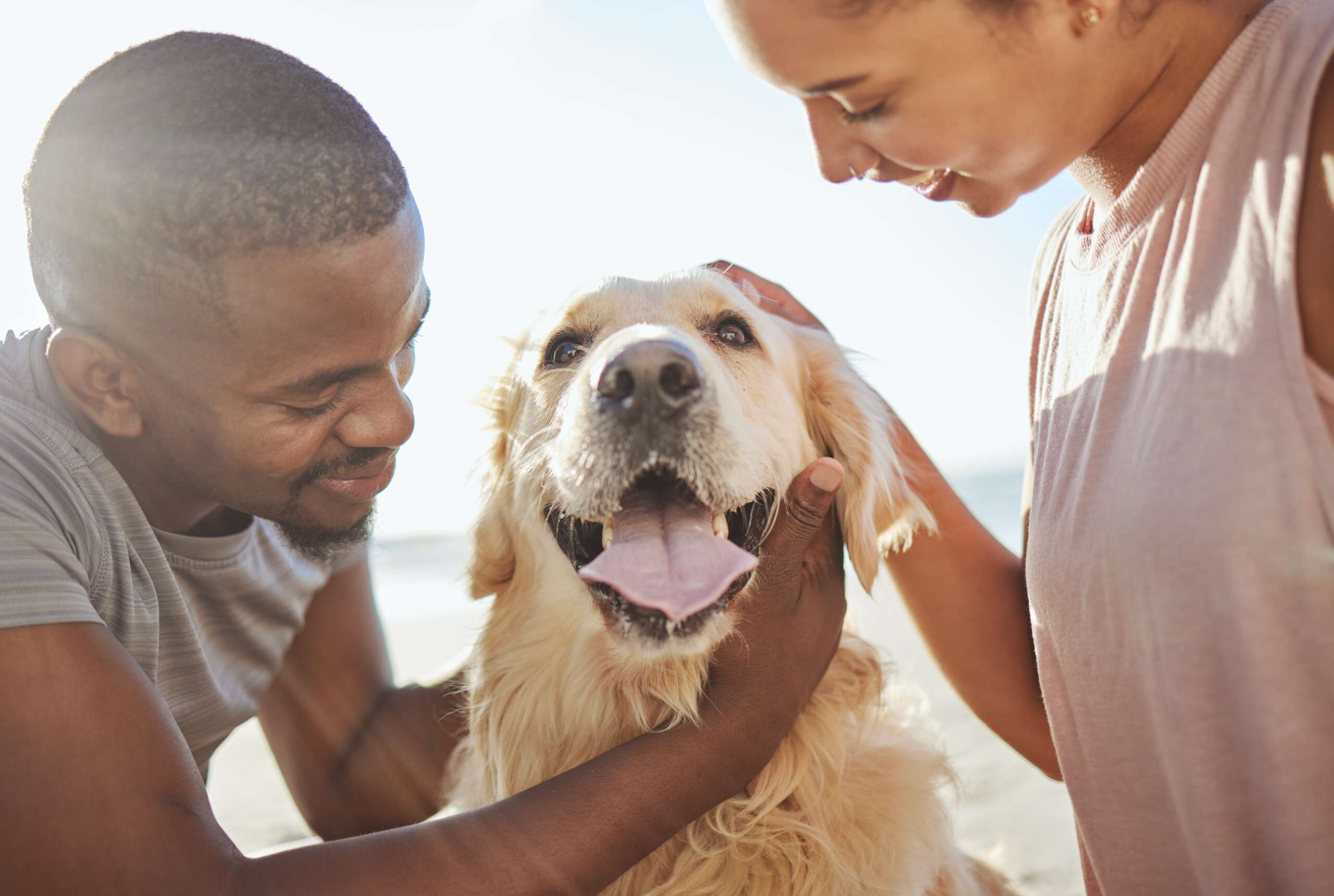 Couple,,Dog,And,Love,,Together,At,Beach,For,Fun,Trip,